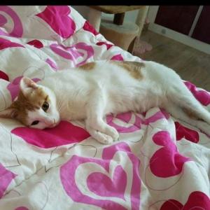 우리 또순이 찾아주세요