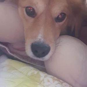 희망이 빨리돌아와😭😭