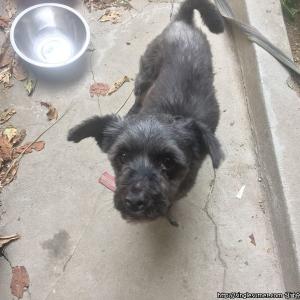 홍여사를 찾습니다!!