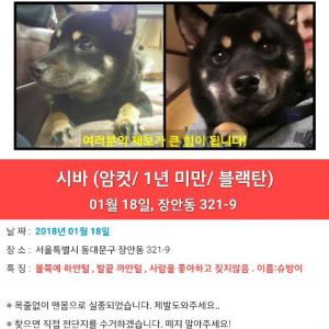 도와주세요..
