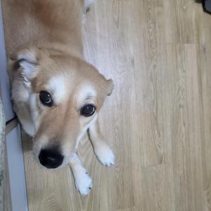 미용끝나고 실종