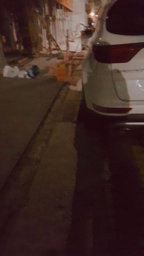 수영구 하얀고양이(페르시안?)