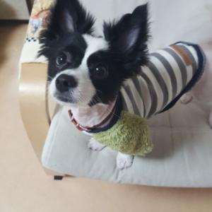 성북구 월곡3 SH빌 아파트단지 일대