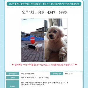 저희 로또를 찾아주세요