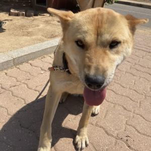 충북 진천 진도믹스 찾아요