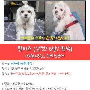 꼭 찾아주세요~~