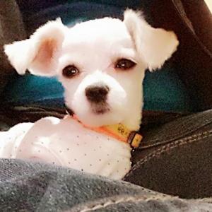 우리뿐이찾아요