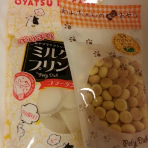 오사카여행 강아지우유푸딩&호박과자 GET!!