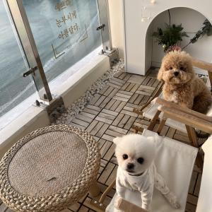 가족을 찾습니다