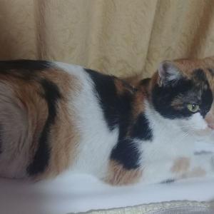 제아기좀찾아주세요