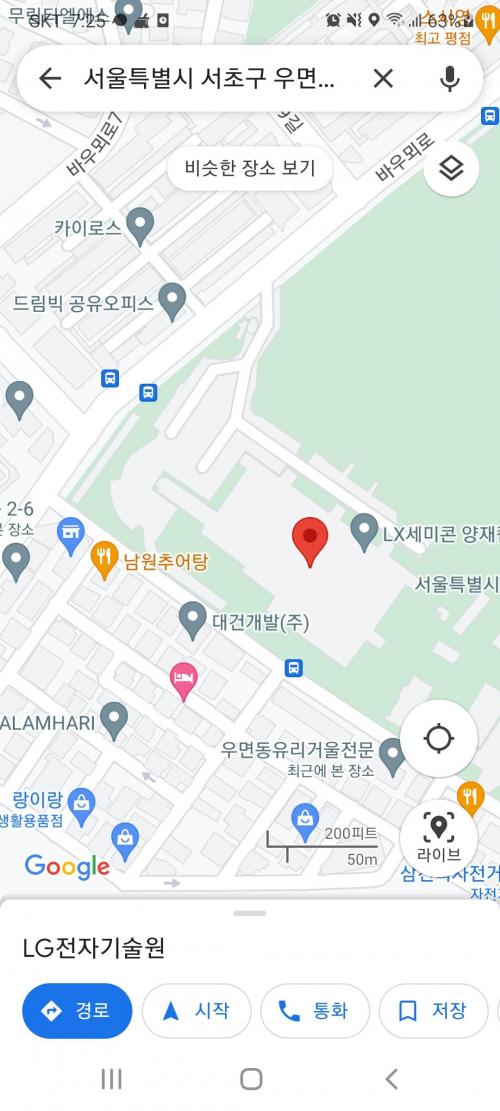 서초구 하얀강아지(말티즈?믹스)를 봤습니다