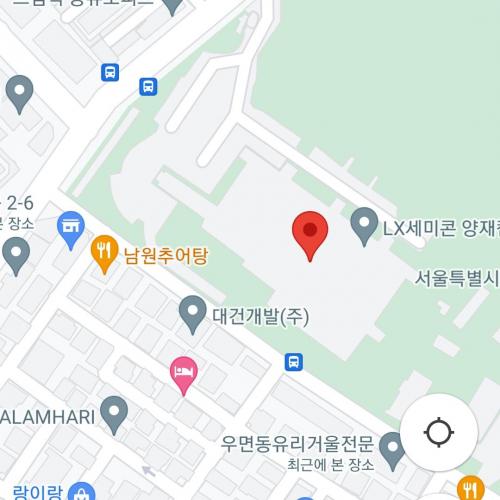 서초구 하얀강아지(말티즈?믹스)를 봤습니다