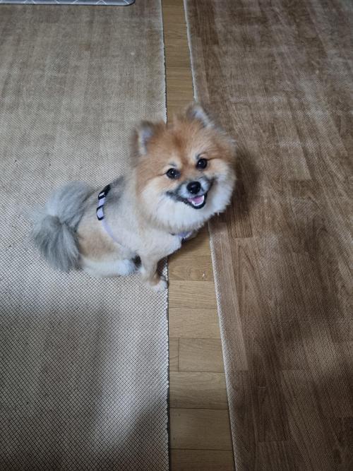 평택 소사벌리더스하임 주인 찾아요!