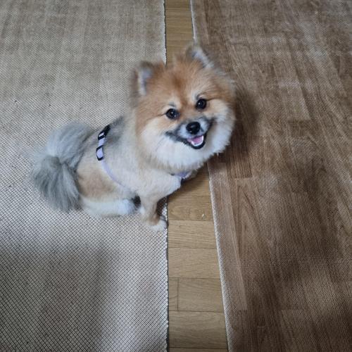 평택 소사벌리더스하임 주인 찾아요!