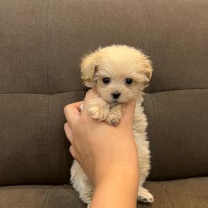 책임감 있는 분들만 데려가 주세요