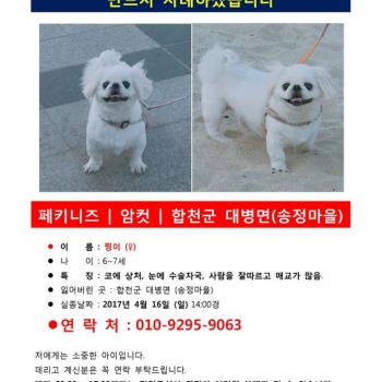 우리 찡이 찾아요.