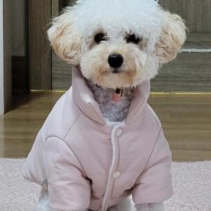 아리를 찾아주세요