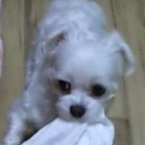 마루를 찾아주세요