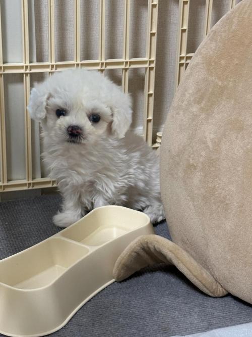 상의 끝나신 분만 연락 주세요 제발... 장난전화 사절입니다.