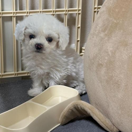 상의 끝나신 분만 연락 주세요 제발... 장난전화 사절입니다.