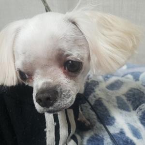 만세야 어디있어