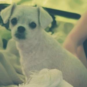 제 가족을찾아주세요!