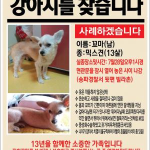 우리꼬마를 찾아주세요
