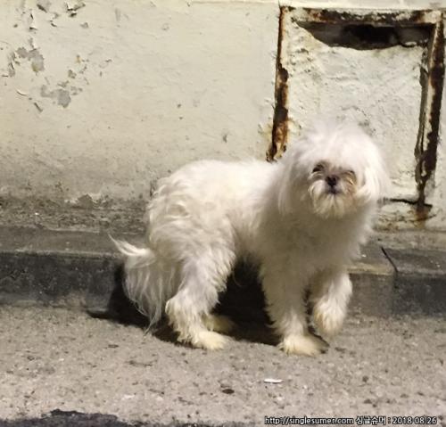 정릉동 삼덕대지에서 발견