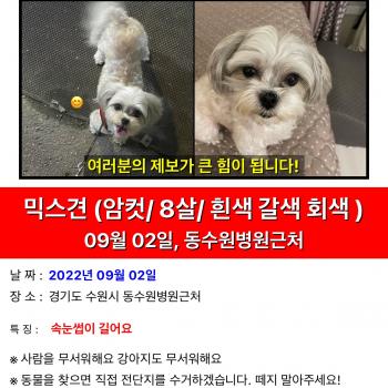 코코를 찾습니다