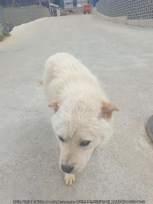 김포시 양촌읍 구래리