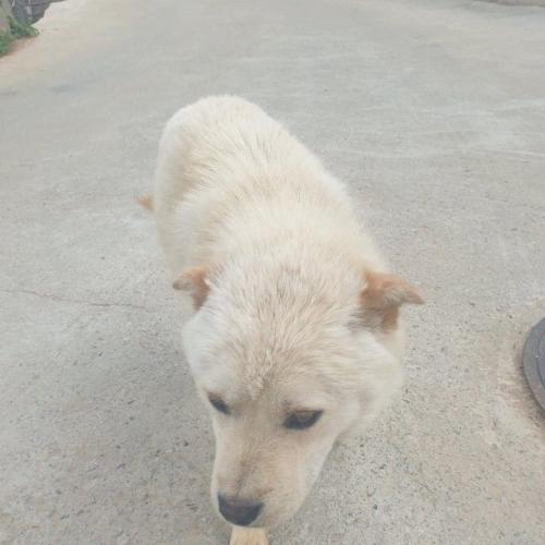 김포시 양촌읍 구래리