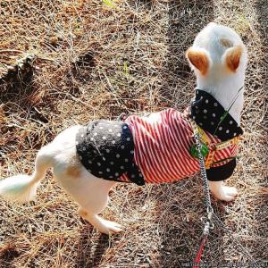 저희 또비좀 찾아주세요 ㅠㅠ