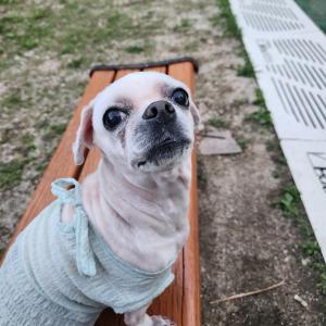 별내동 산타 찾습니다