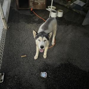 인천 남동공단 근린공원 근처 회사