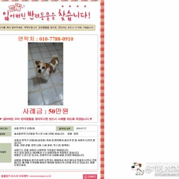 [2016-07-27] 서울시 관악구 신림6동 - 13세 믹스견(점박이) 암컷 이름:포미 를 찾습니다.