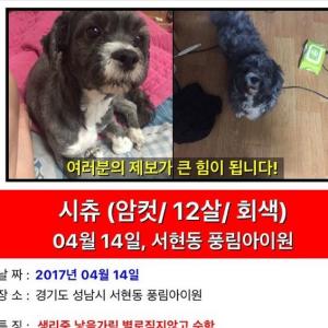 보라를찾습니다.