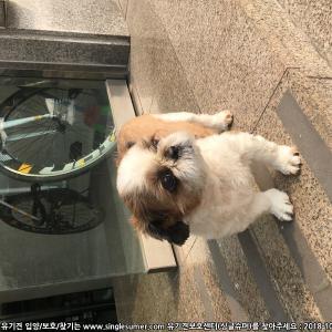 못난이를찾아주세요