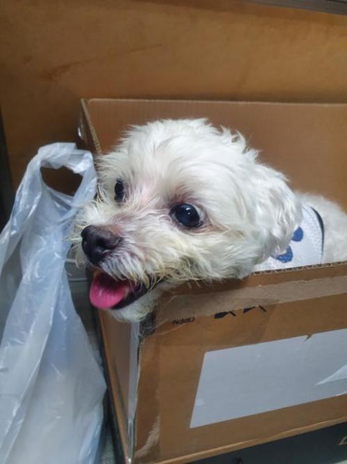 경기도 광주시 삼성디지털프라자 광주점