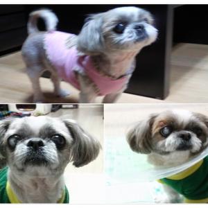 양산시 동면] 아이를 잃어버렸어요.