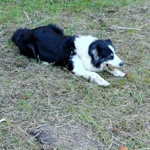 걱정해주신 덕분에 찾았습니다. 감사합니다.