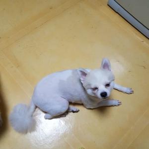 꼭 좀 찾고 싶어서 글 남깁니다
