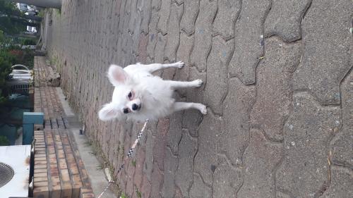 시흥시 정왕동 예당마트 앞에서