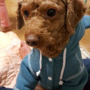 제빌 관심갖고 한번 봐주세요.