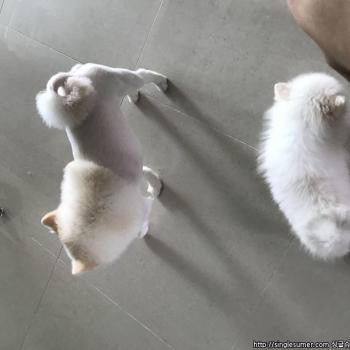 아산배방와이시티 부근