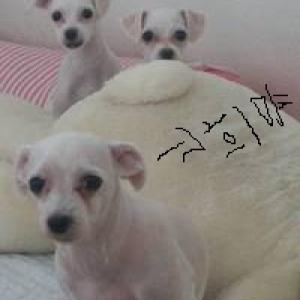 제 친구 희야를 찾습니다!!