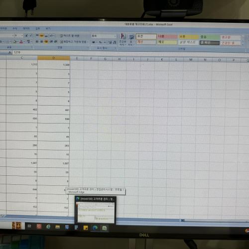 10년키운 고양이를 찾습니다!!