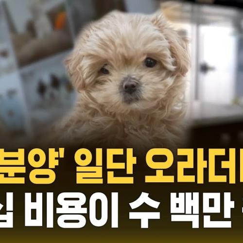 '무료 분양'이라더니…멤버십 비용으로 수백만 원 내라? (자막뉴스) / SBS