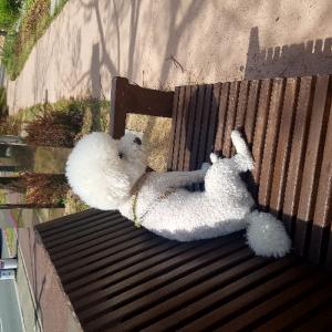 너무보고싶은우리웅이꼭찾았으면합니다