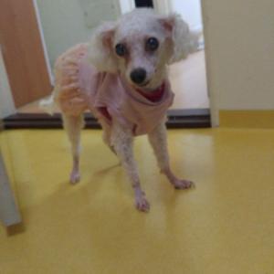 우리 아기찾습니다