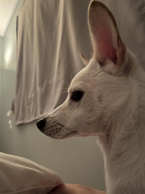 이 아이를 사랑으로 키워주실 분